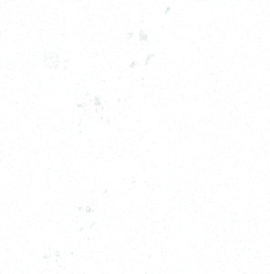 photo/42791b06-8976-4a5b-a7e9-9cd1c1e96801-3