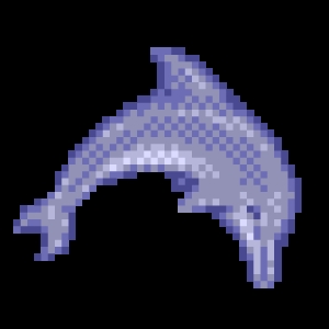 Ecco the dolphin