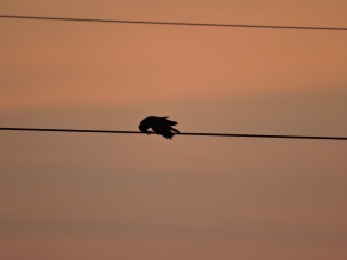 Photography/skies
