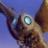 Mothra